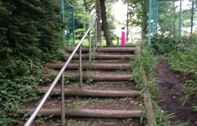 県立相模原公園遊歩道の階段