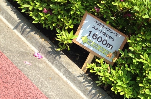 ギオンスタジアムのクロカンコース1600m